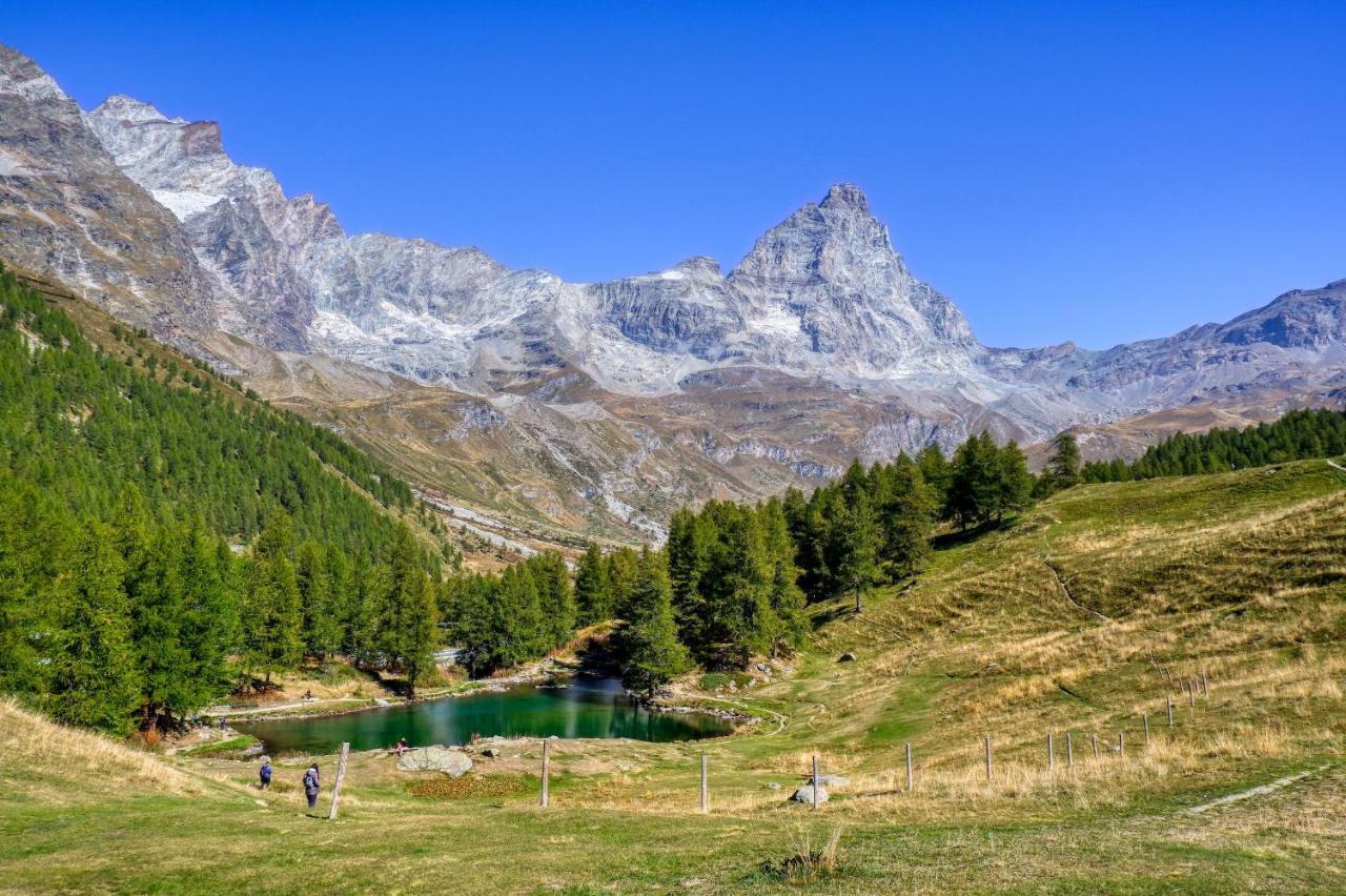 La Lupa Apartment - In The Heart Of Aosta With Car Box المظهر الخارجي الصورة